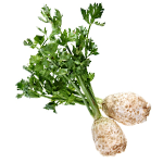 image_not_found