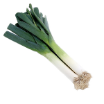 image_not_found